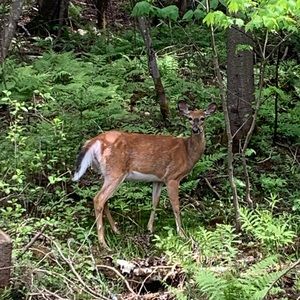 Meet your Posher, Michel